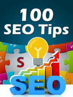 100 Seo Tips Give Away Rights Ebook