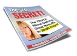 The Seo Secret Personal Use Ebook