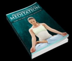 Beginners Guide To Meditation Plr Ebook