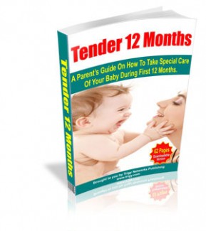 Tender 12 Months Mrr Ebook