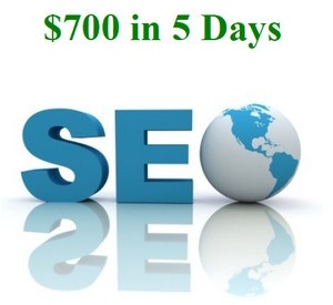 $700 In 5 Days Mrr Ebook With Video