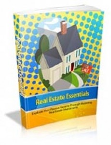 Real Estate Essentials Mrr Ebook