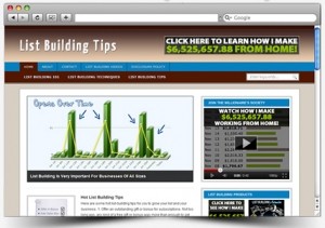 List Building Niche Blog Personal Use Template