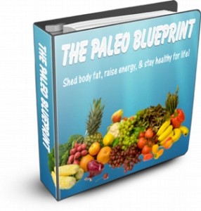 The Paleo Blueprint Plr Ebook