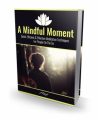 A Mindful Moment MRR Ebook