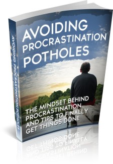 Avoiding Procrastination Potholes MRR Ebook