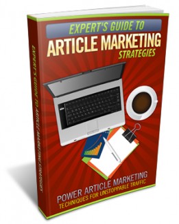 Expert’s Guide To Article Marketing Strategies Personal Use Ebook With Audio