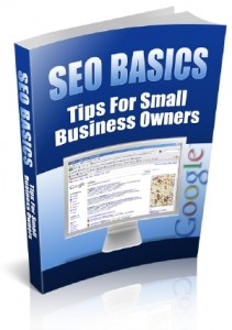 SEO Basics – Tips For Small Business Owners Plr Ebook