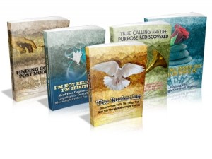 The Spirituality And Enlightenment Series Mrr Ebook