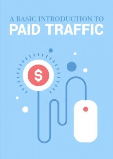 Paid Traffic Personal Use Ebook
