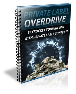 Private Label Overdrive PLR Ebook