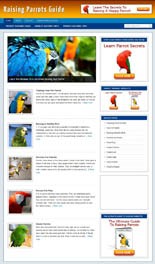 Raising Parrots Niche Blog Personal Use Template With Video