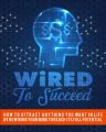 Wired To Succeed 2 MRR Ebook With Audio