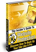 Website Protection MRR Ebook