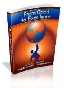 From Good To Excellence Mrr Ebook