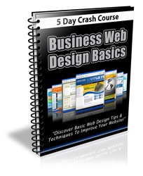 Business Web Design Basics Course PLR Autoresponder Messages