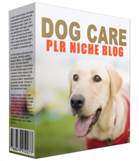 Dog Care Plr Niche Blog PLR Template
