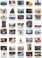 Humans Stock Images Resale Rights Graphic 