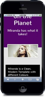 Miranda Premium WordPress Theme Personal Use Template