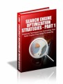 Search Engine Optimization Strategies MRR Ebook