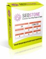 Seo Stone Plugin PLR Software