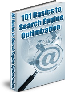 101 Basics To Search Engine Optimization MRR Ebook