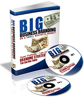 Big Business Branding On A Small Business Budget Plr Ebook With Audio