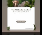 Wildlife Template & WP Theme 3 Mrr Template