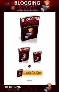 Premium Niche Blogs And Sites Plr Template