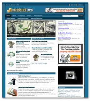 Adsense Niche Blog PLR Template