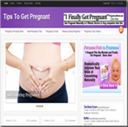 Pregnancy Tips Niche Blog Personal Use Template With Video