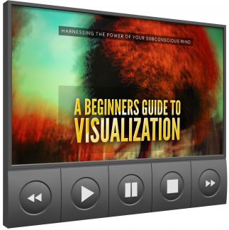 A Beginners Guide To Visualization MRR Video With Audio