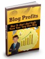 Blog Profits Guide MRR Ebook