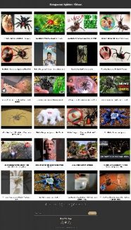 Dangerous Spiders Instant Mobile Video Site MRR Software