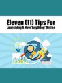 Eleven Tips For Launching A New Anything Online PLR Ebook