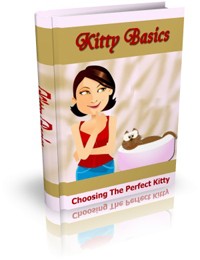 Kitty Basics Give Away Rights Ebook