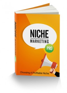 Niche Marketing Pro Resale Rights Ebook