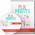 Plr Profits 2 MRR Ebook With Audio