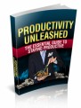 Productivity Unleashed MRR Ebook