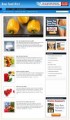 Raw Food Niche Blog Personal Use Template With Video