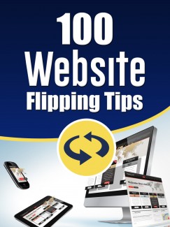 100 Website Flipping Tips PLR Ebook