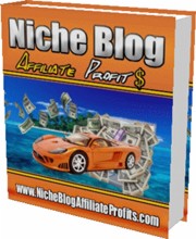 Niche Blog Affiliate Profits MRR Ebook With Video