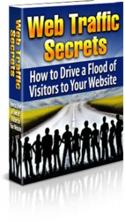 Web Traffic Secrets MRR Ebook