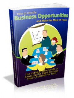 How To Identify Business Opportunities MRR Ebook