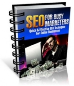 Seo For Busy Marketers Mrr Ebook
