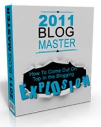 2011 Blog Master Personal Use Template