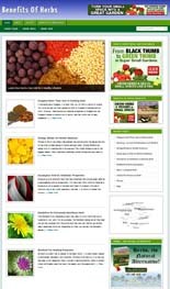 Benefits Of Herbs Niche Blog Personal Use Template With Video