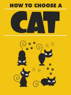 How To Choose A Cat MRR Ebook