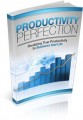 Productivity Perfection Give Away Rights Ebook
