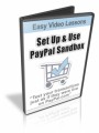 Set Up And Use The Paypal Sandbox MRR Video 